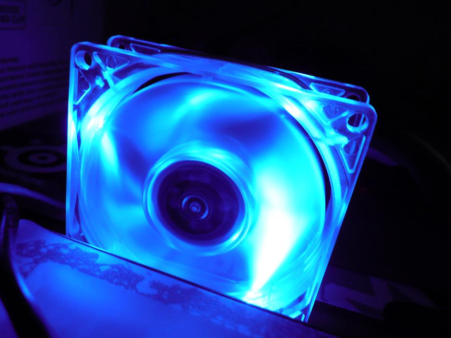 �۽�����ù������º�ɥʧԭ���ָк�ģ�SP��cs��ʵ���Եķ������Ѳ�����ͼ��