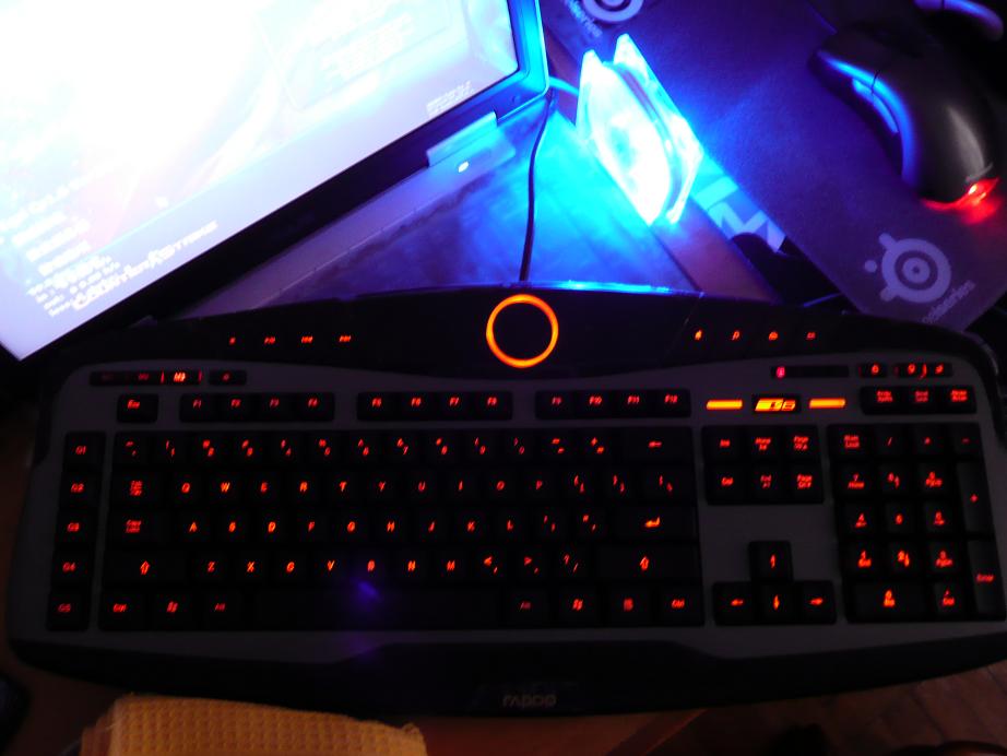 �۽�����ù������º�ɥʧԭ���ָк�ģ�SP��cs��ʵ���Եķ������Ѳ�����ͼ��