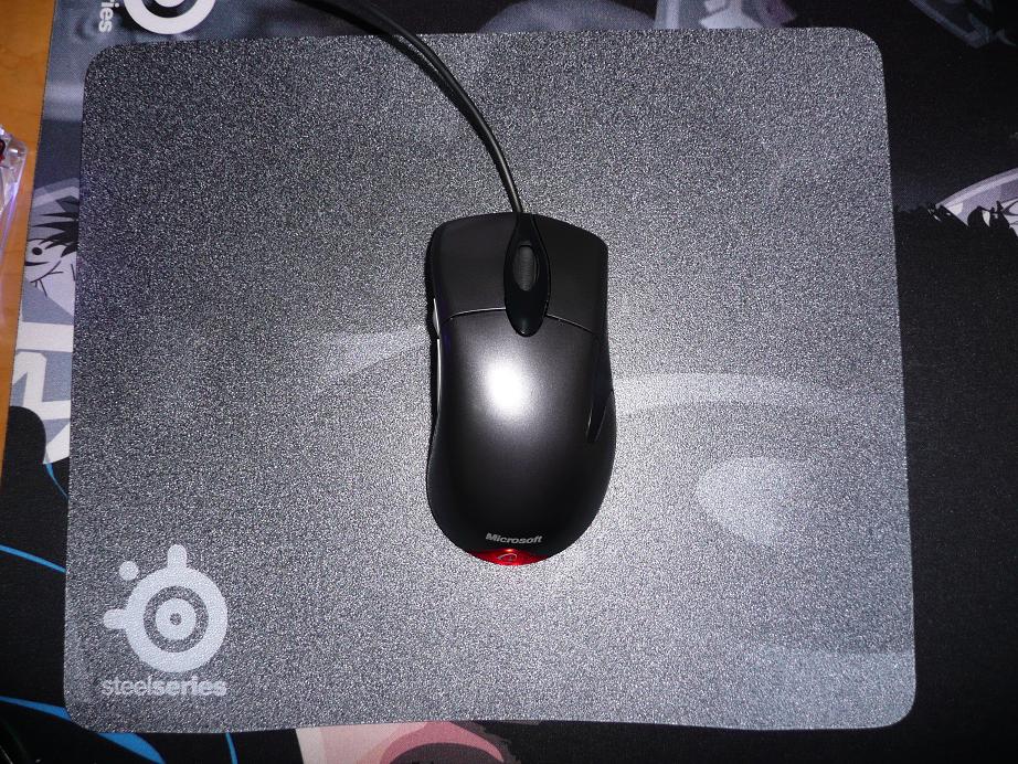 �۽�����ù������º�ɥʧԭ���ָк�ģ�SP��cs��ʵ���Եķ������Ѳ�����ͼ��