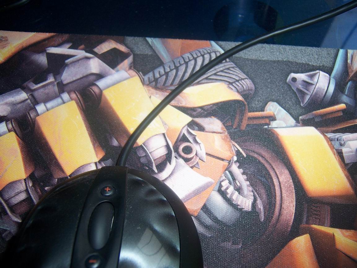 ������С 11.JPG