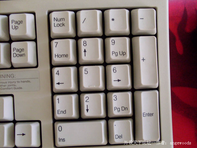 PLUM֣ͼɱèɹĲǼ̣Ǽį