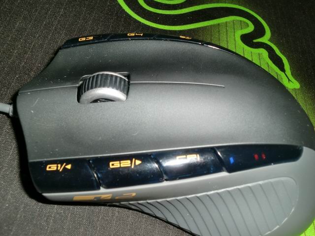 CIMG0313.JPG