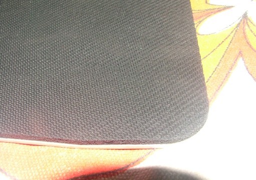 Shark �������Ͻ�����2.jpg