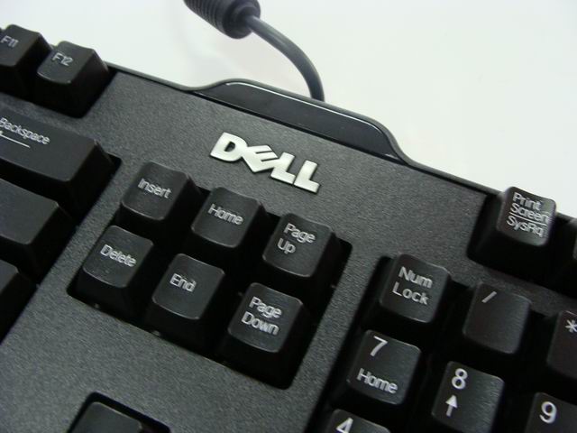 ������С DSC00203.JPG