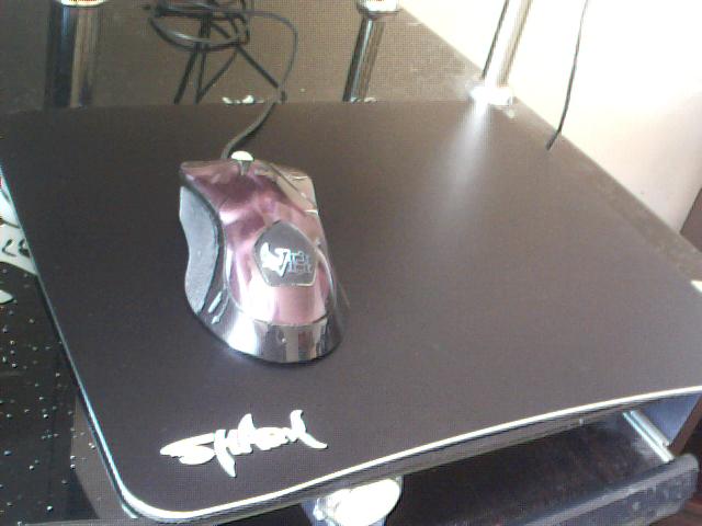 ����Shark�������Ͻ�����vs�����V8��֡������