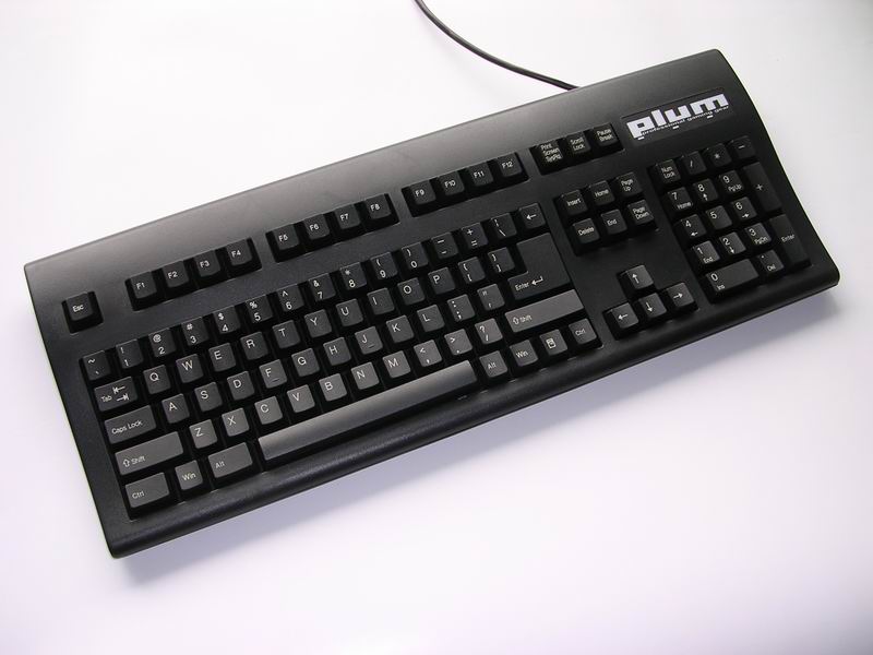 ���Ź��� PLUM�����е���� ������ѡ