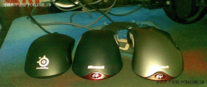 ���� KINZU �ִ�������