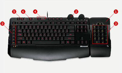 �����߼���ѡ����