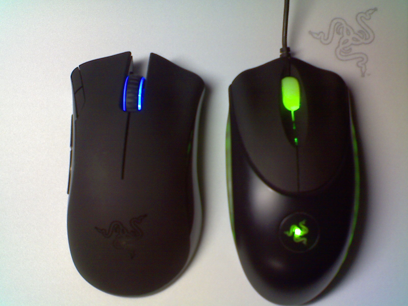 ����ǳ��