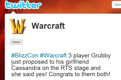 BlizzCon2009��GB��PPG��顣