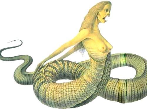 �²��¿�razer�������