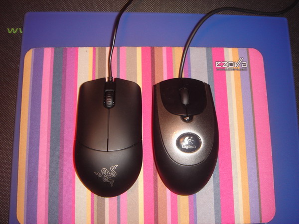 ������ҵĸ��� ���ɷħ������