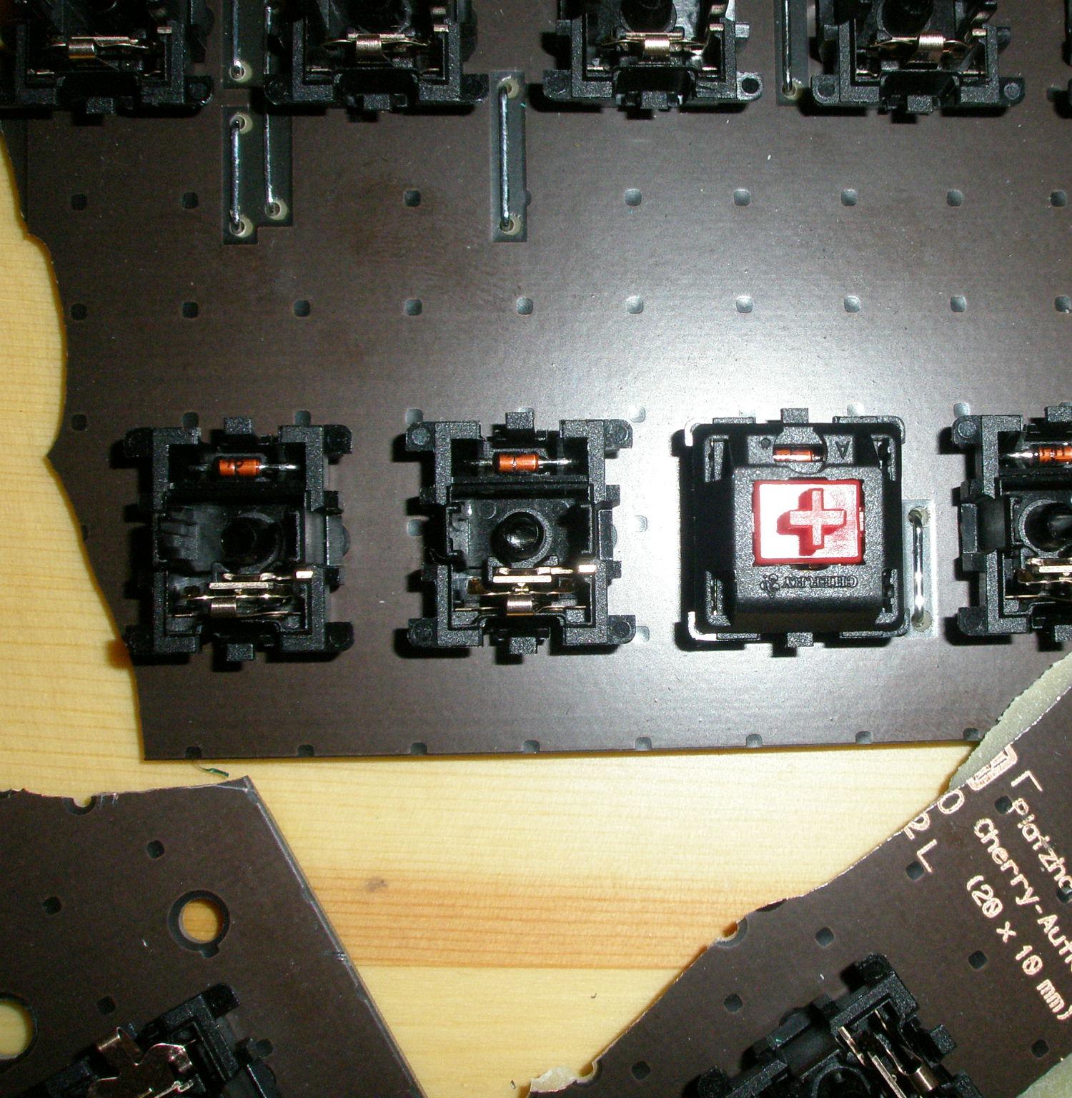 P8300025.JPG