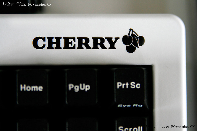Cherry G80-1863() wnvְҵ湤¹(25P)