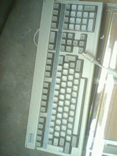 IMG0114A.jpg