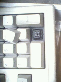 IMG0116A.jpg