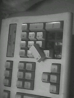 IMG0119A.jpg