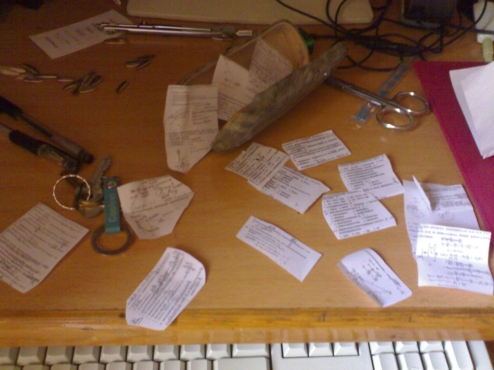 20090909307.jpg