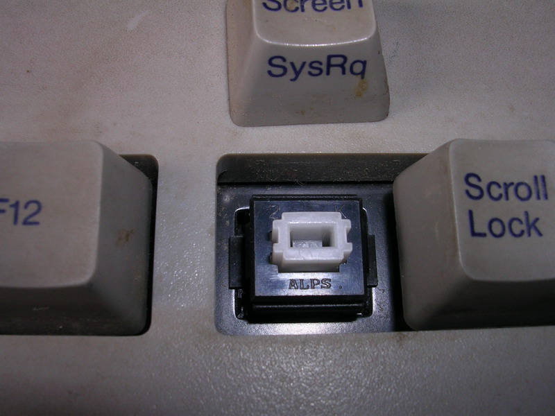 shidaALPS02.jpg