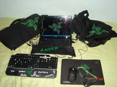 RAZER FANS