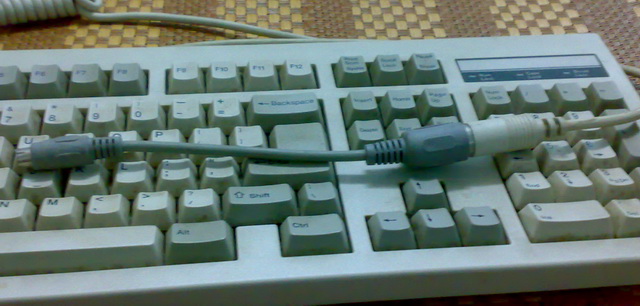 2ʱļ̣Ա֫ ͼϣ