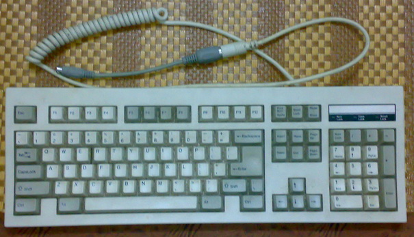2ʱļ̣Ա֫ ͼϣ