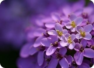 213008_1587240167_zhuaruid.jpg