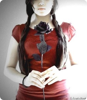 215410_1884194298_dvccozpn.jpg