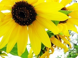 215351_1148505569_crxugpjh.jpg