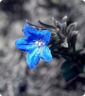 221035_219135284_mmjkpzmu.jpg