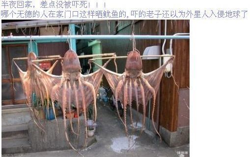 �⡣���⡣���⡣��ʲô�������
