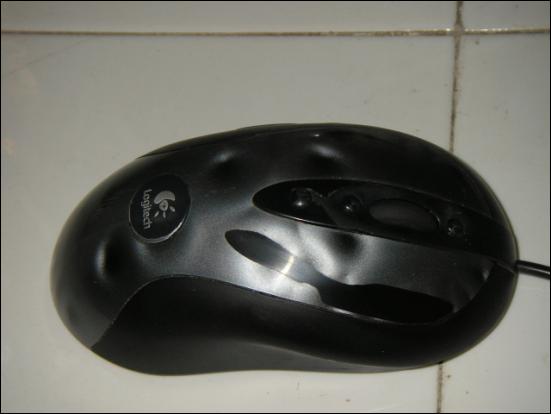 mX518 ����˵�е��ᡢ˫�����Ⱑ��������ձ飡�ҵ��׸ò�����