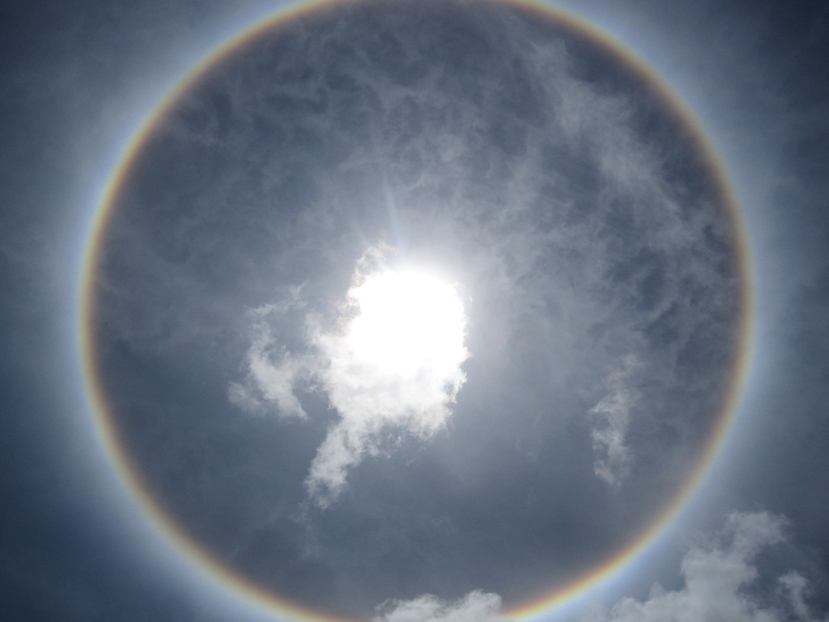 �����ʲô���̣�ͦ����