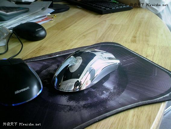 ��֪ʶ���ռ����������綾����С�����������ӳ�~~~~~~~~~~~~~~~