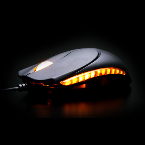 ��֪ʶ���ռ����������綾����С�����������ӳ�~~~~~~~~~~~~~~~