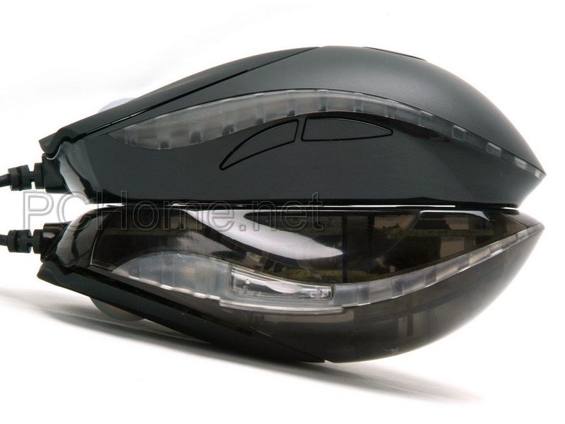 ��֪ʶ���ռ����������綾����С�����������ӳ�~~~~~~~~~~~~~~~