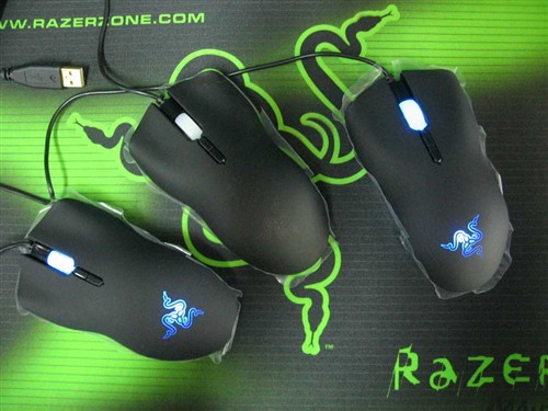 ��֪ʶ���ռ����������綾����С�����������ӳ�~~~~~~~~~~~~~~~