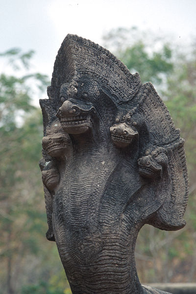 ��֪ʶ���ռ����������綾����С�����������ӳ�~~~~~~~~~~~~~~~