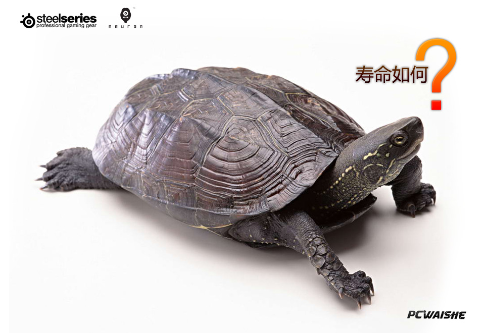 [ԭ��]hardpad Revolultion����steelseries 9HD�ļ򵥸���