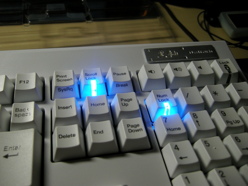 �ٴμ����е����Owltech����������֣����б��������Ƶ�ô��