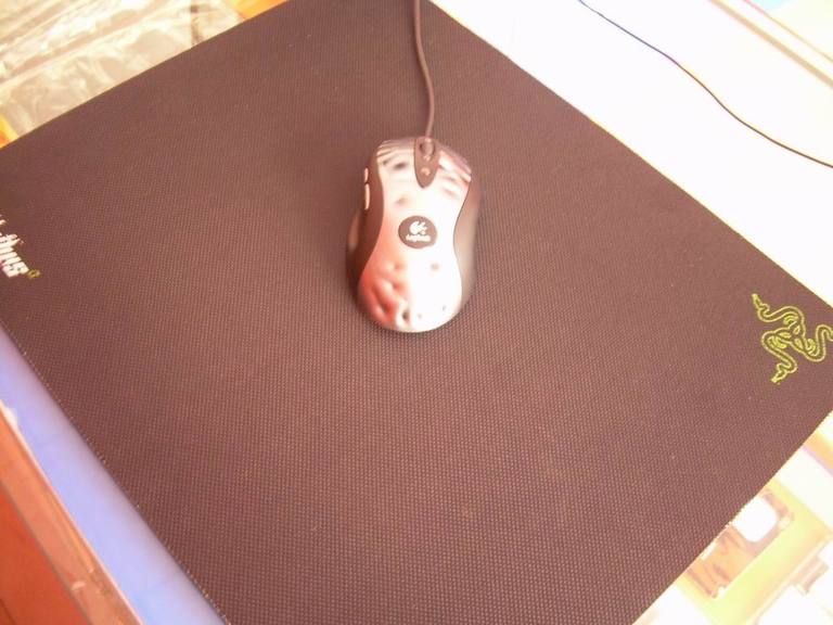 ������С DSCN7656.JPG