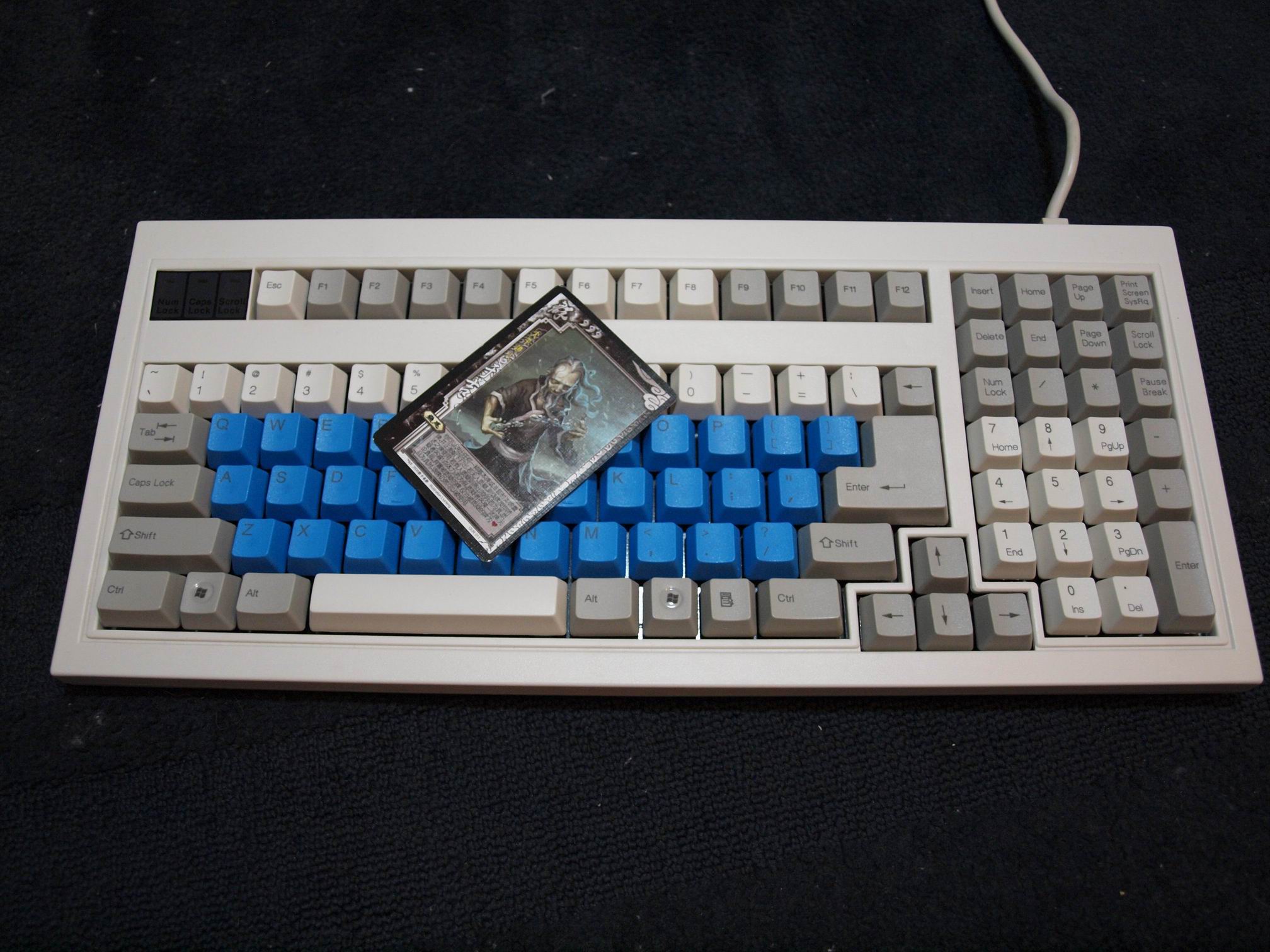 ����83��ծ��-------------��������ɱ---------------