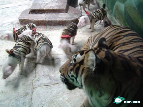ǧ������·� Ҫ��һ�����ĺܲ�
