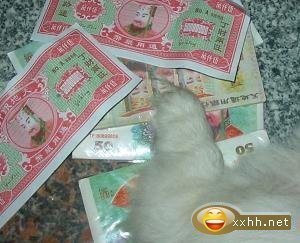 2_54230309_diary.jpg
