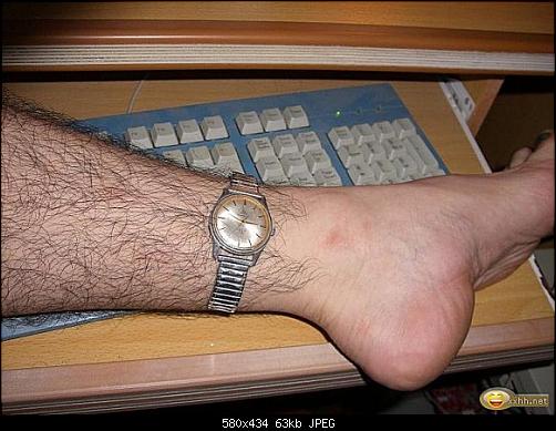 2_54231236_diary.jpg