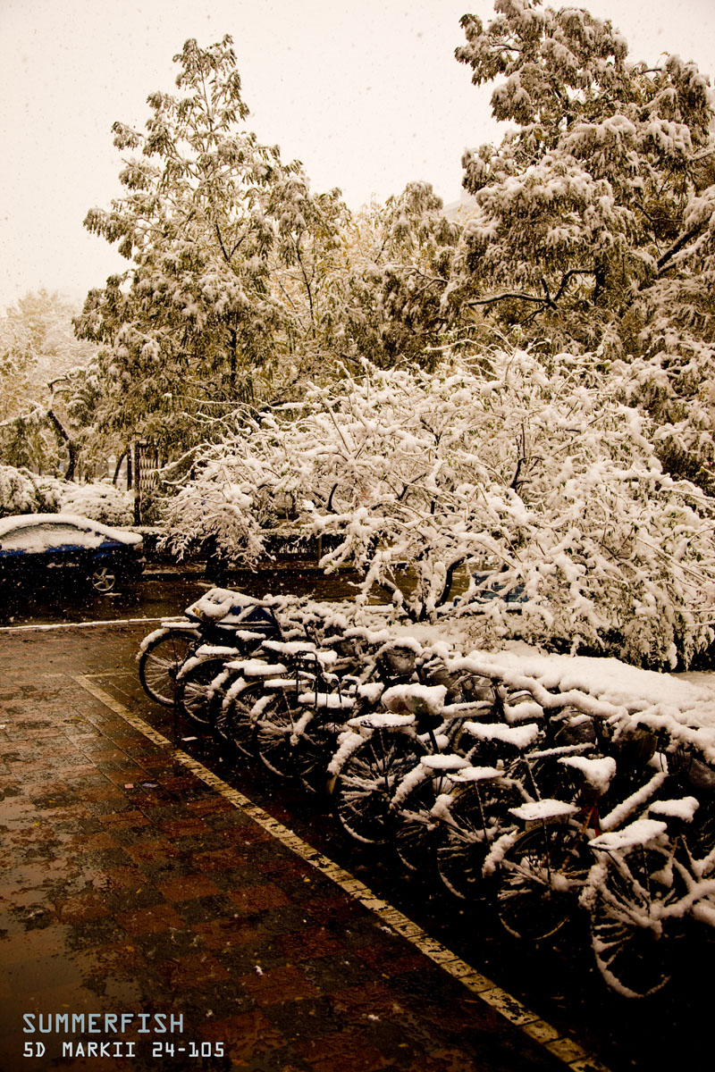 ����������������N-KEY����ͼƬ���ϣ�