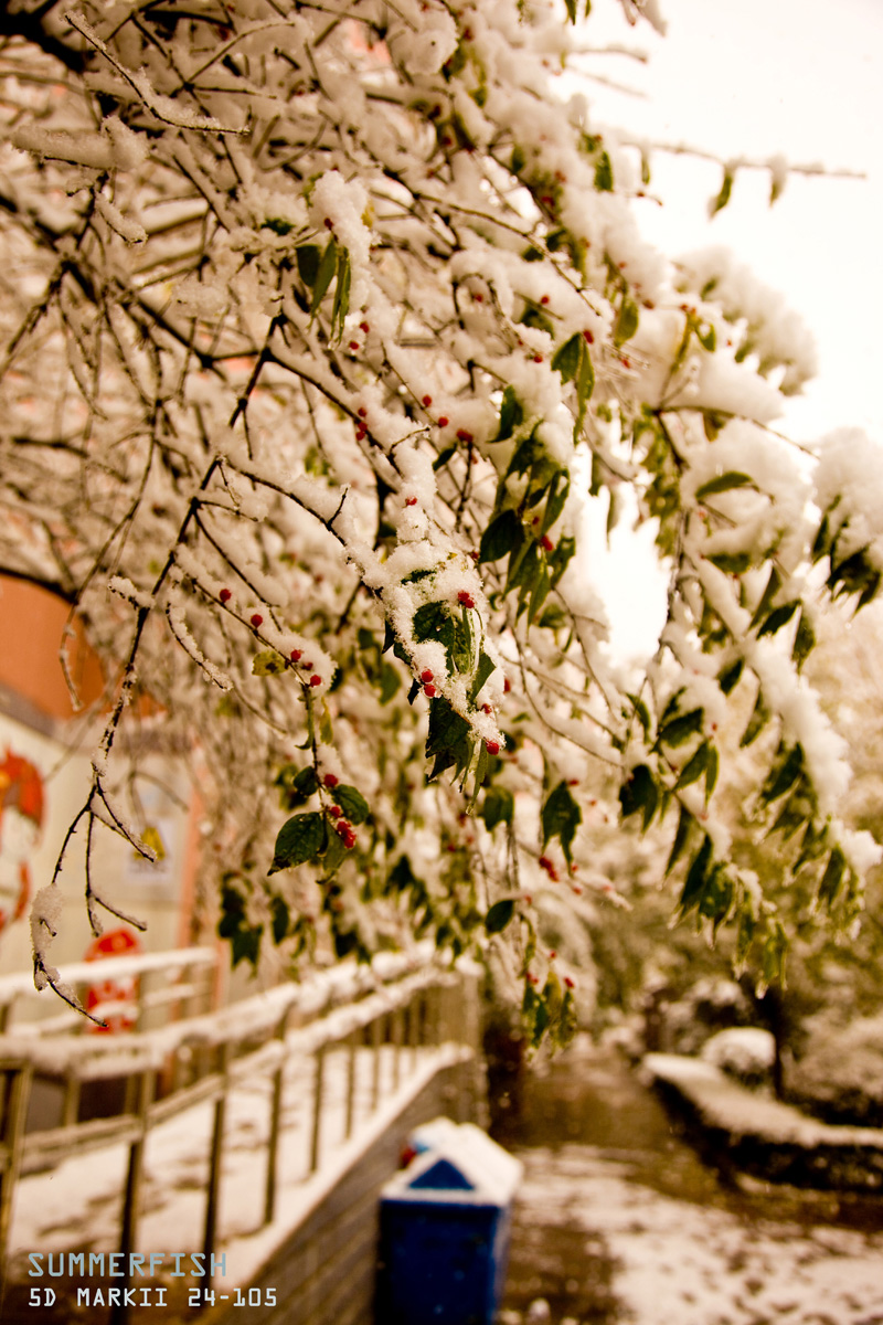 ����������������N-KEY����ͼƬ���ϣ�