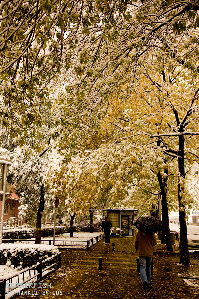 ����������������N-KEY����ͼƬ���ϣ�