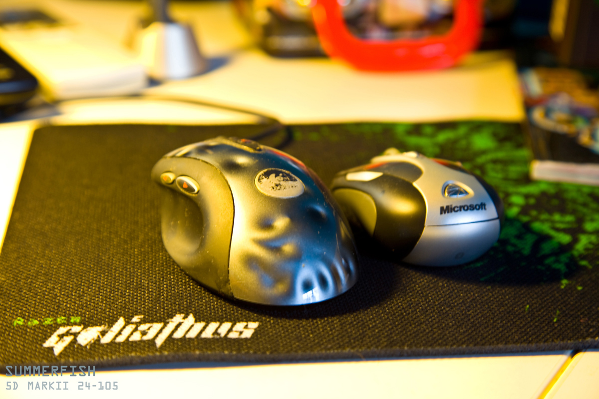 ����������������N-KEY����ͼƬ���ϣ�