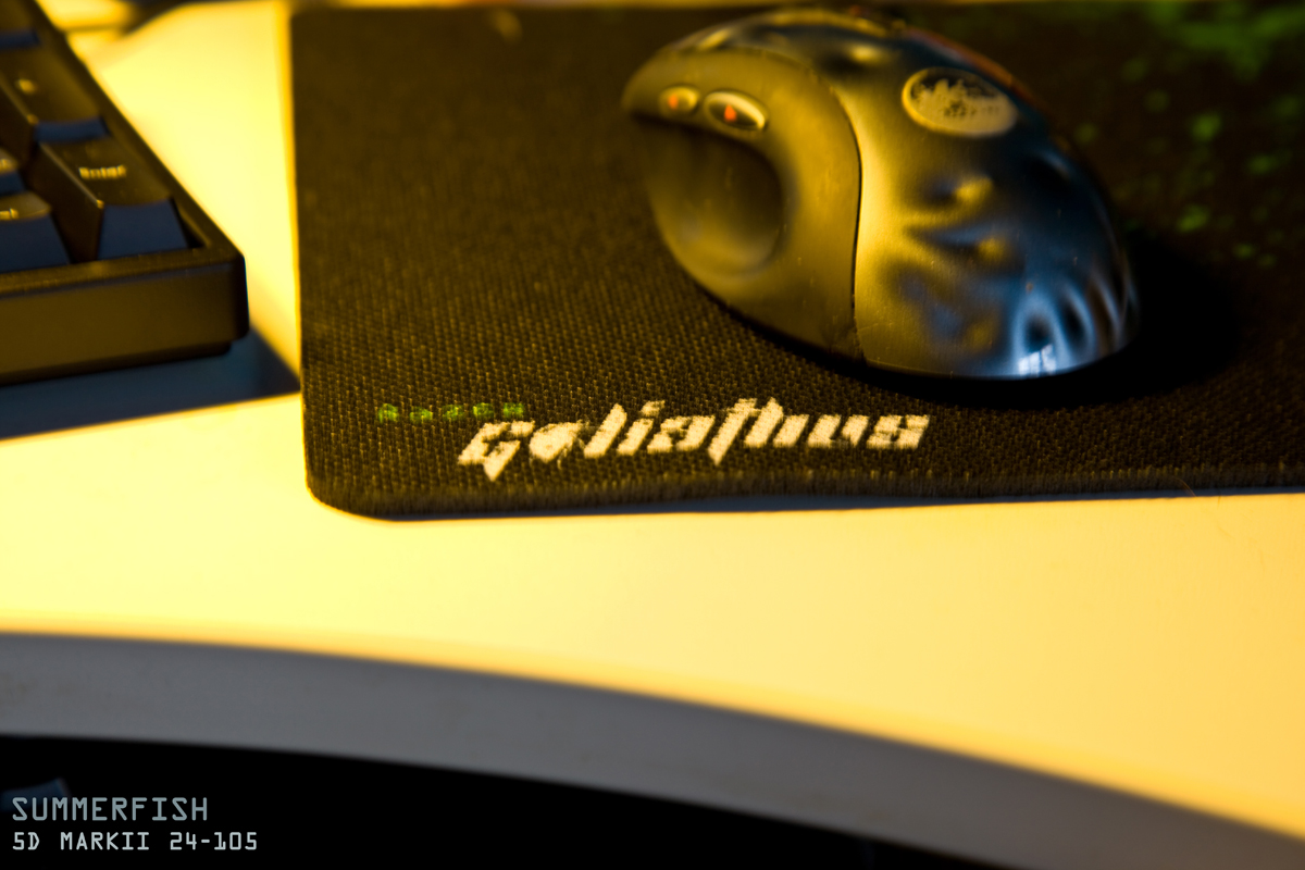 ����������������N-KEY����ͼƬ���ϣ�